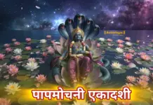 पापमोचनी एकादशी 2026: अनजाने पापों से मिलेगी मुक्ति, जानें 15 मार्च का शुभ मुहूर्त, मीन संक्रांति संयोग और पारण का समय Papmochini Ekadashi Vrat 2026